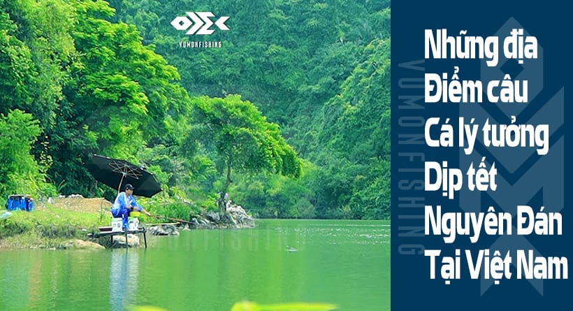 Những Địa Điểm Câu Cá Lý Tưởng Dịp Tết Nguyên Đán Tại Việt Nam