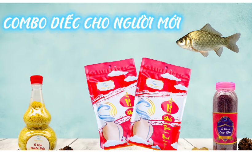 CÁCH CHỌN COMBO DIẾC CHO NGƯỜI MỚI BẮT ĐẦU