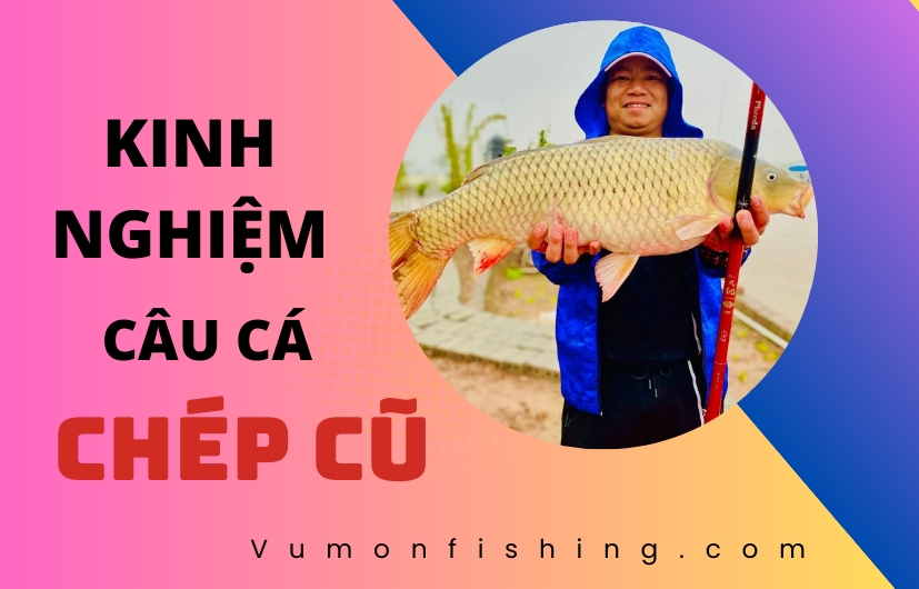 CHIA SẺ KINH NGHIỆM CÂU CÁ CHÉP CŨ