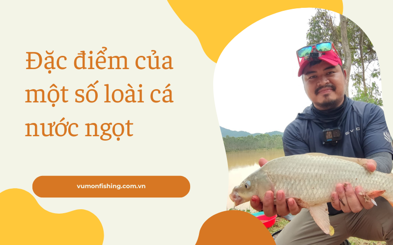 ĐẶC ĐIỂM CỦA MỘT SỐ LOÀI CÁ NƯỚC NGỌT