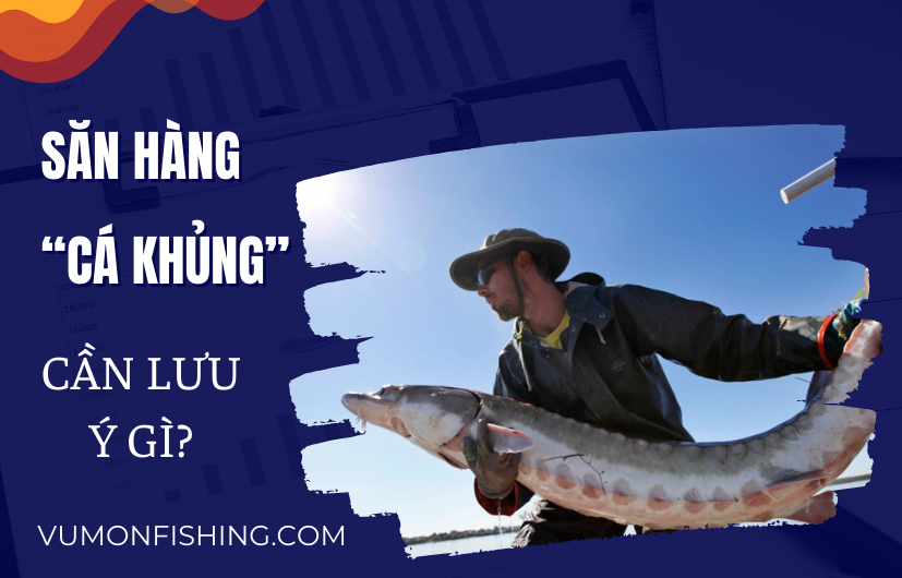 SĂN HÀNG “CÁ KHỦNG” CẦN LƯU Ý ĐIỀU GÌ?
