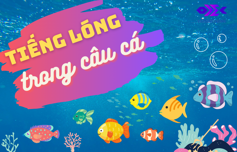 NHỮNG THUẬT NGỮ TRONG CÂU CÁ