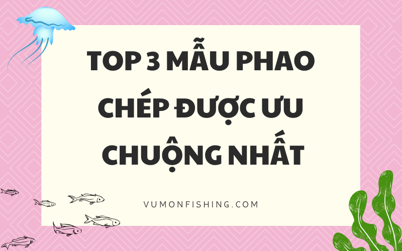 TOP 3 MẪU PHAO CHÉP ĐƯỢC ƯU CHUỘNG NHẤT